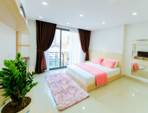 Only 390$ - Bright spacious serviced apartment for rent on Tran Dinh Xu street, District 1