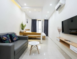 Serviced apartment with balcony for rent on Tran Dinh Xu street, District 1