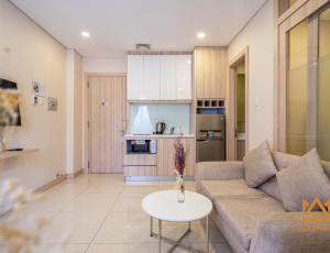 LUXURY SERVICED APARTMENT IN DISTRICT 1, NGUYEN BINH KHIEM STREET 