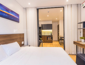 SERVICED APARTMENT IN TAN BINH DISTRICT, HOANG VIET  STREET 