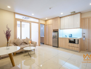 LUXURY SERVICED APARTMENT IN DISTRICT 1, NGUYEN BINH KHIEM STREET 