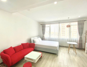 ONLY 385$ - SERVICED APARTMENT WITH HOUSEKEEPING SERVICES, HAVE BATHTUB IN BINH THANH DISTRICT, PHAM VIET CHANH STREET