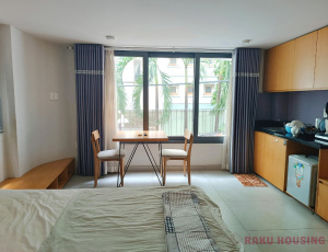 STUDIO SERVICED APARTMENT IN DISTRICT 1, DINH TIEN HOANG STREET 