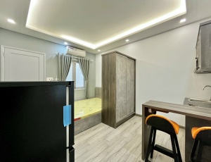 ONLY 310USD - SERVICED APARTMENT IN DISTRICT 1, TRAN NHAT DUAT STREET