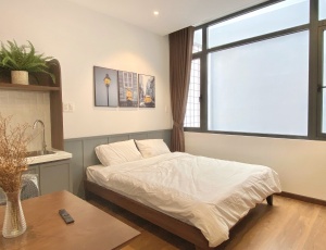 SERVICED APARTMENT IN TAN BINH DISTRICT, LAM SON STREET