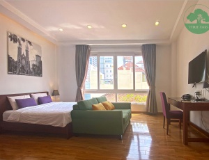 1 Bed room serviced apartment, Distrct 1, Phan Kế Bính street