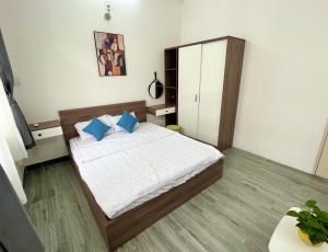 SERVICED APARTMENT IN DISTRICT 1, HOANG SA STREET