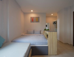 SERVICED APARTMENT IN DISTRICT 1, PHAN TON STREET